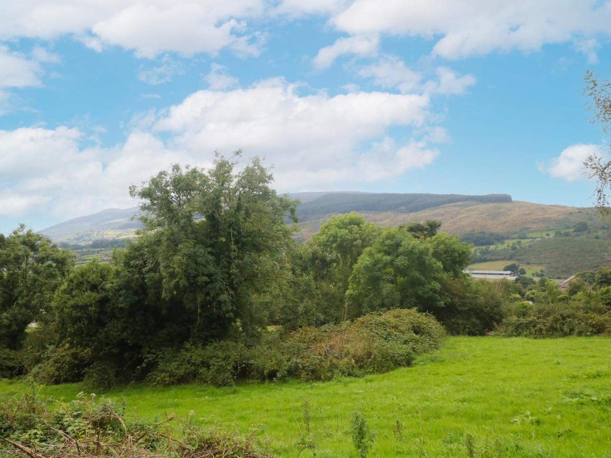 Whitethorn House Villa Newry Kültér fotó